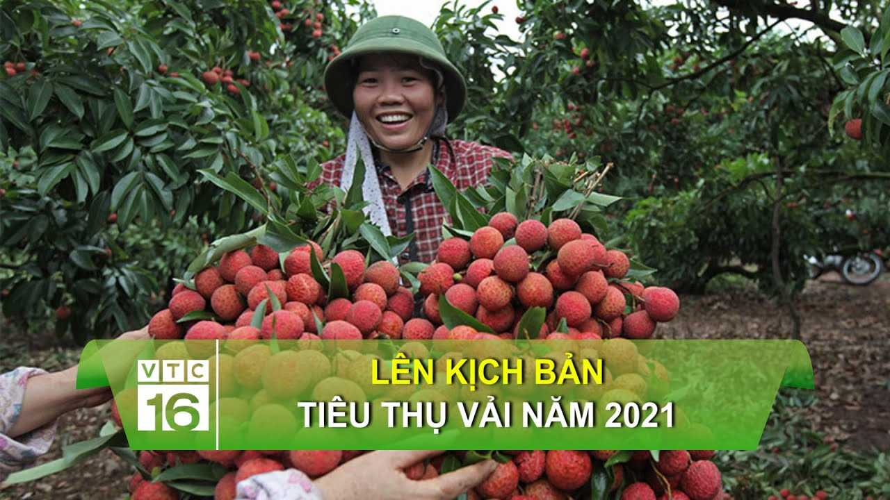 Sự Bùng Nổ Của Video Ngắn và Trí Tuệ Nhân Tạo: Vai Trò Thiết Yếu Của Đào Tạo Kỹ Năng Sáng Tạo Nội Dung